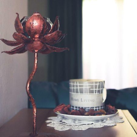 Codrongianos La Casa Del Viaggiatore מראה חיצוני תמונה
